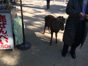 ブログ用