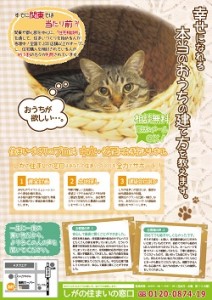 住まいの窓口広告1